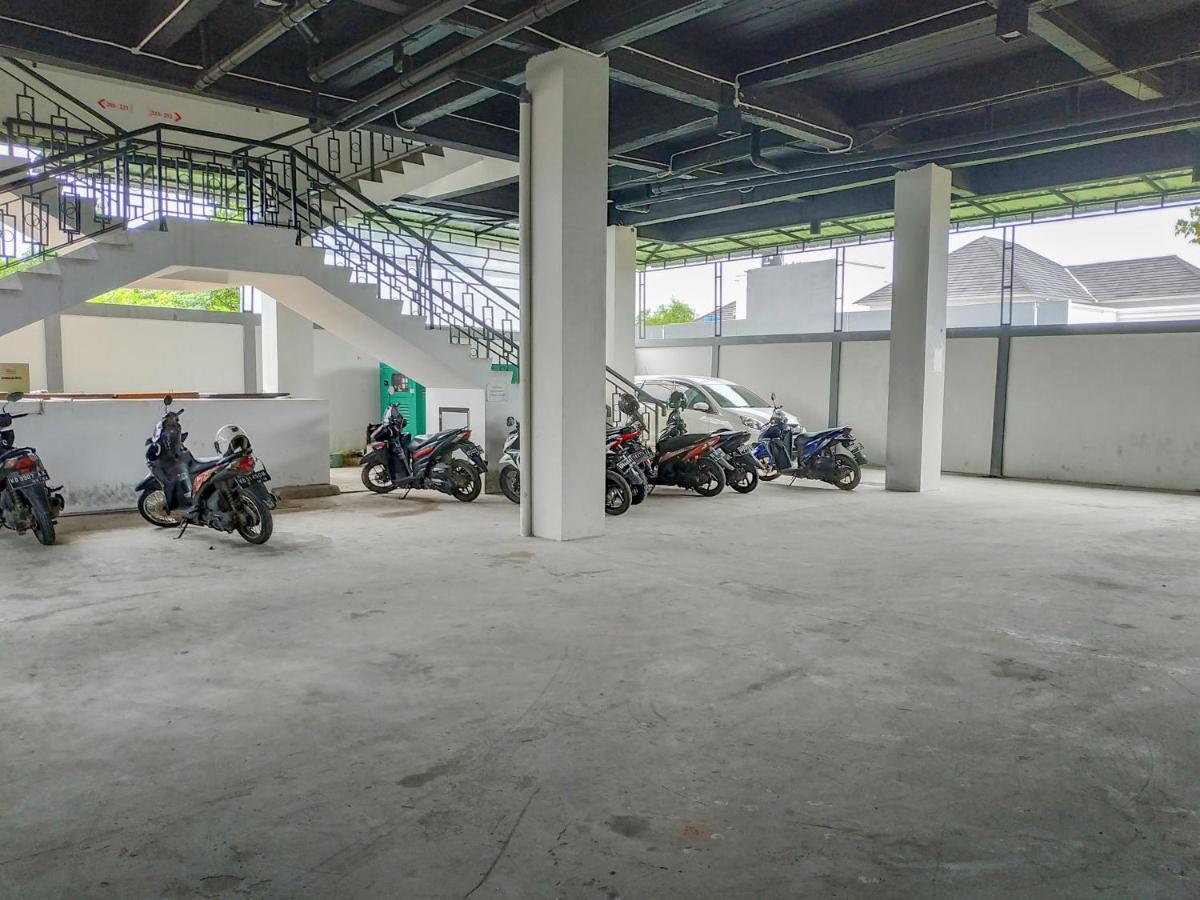 Cattail 2* Pontianak